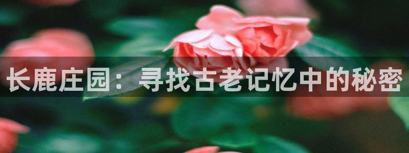 摩根娱乐宝邀请码