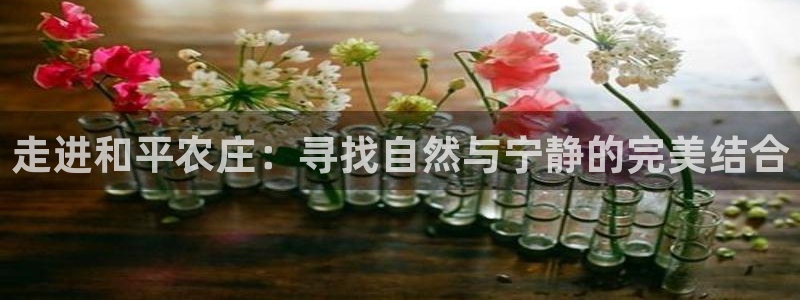 摩根娱乐云挂机是真的嘛