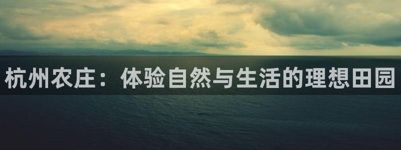 摩根娱乐宝怎么赚钱的