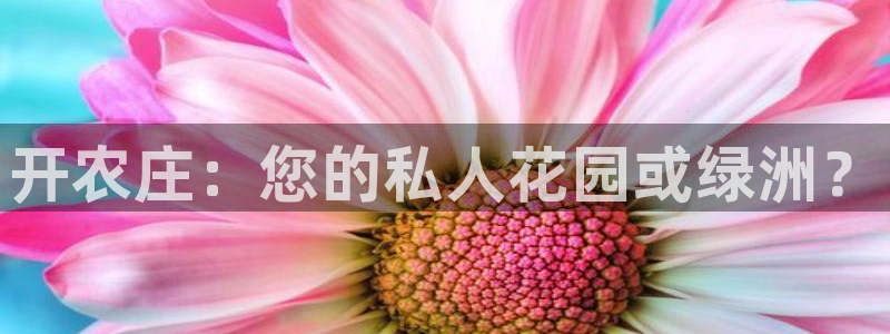 义乌摩根娱乐会所价格
