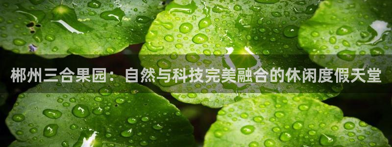 海贼王之娱乐摩根斯