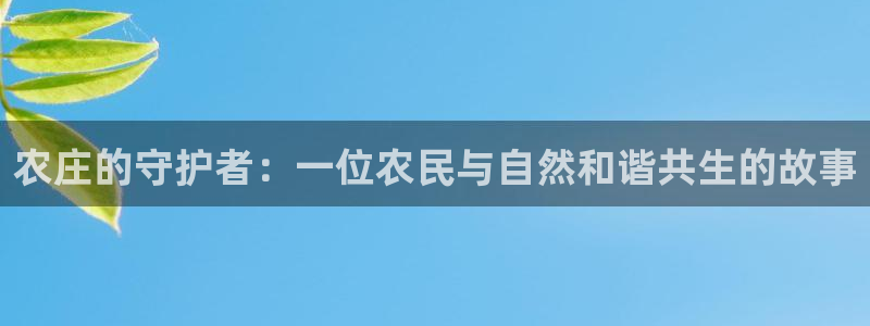 摩根娱乐挂机项目是什么