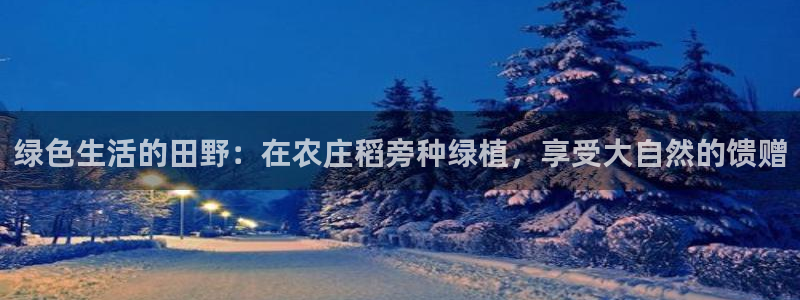 摩根娱乐50186加