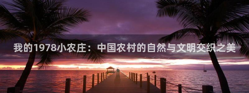 摩根娱乐宝口碑