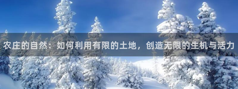 南阳市摩根娱乐