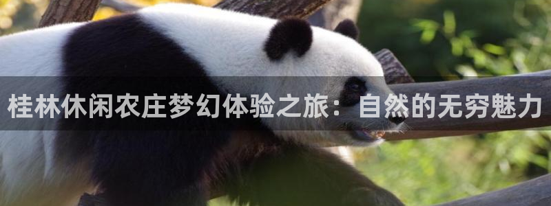 上投摩根娱乐