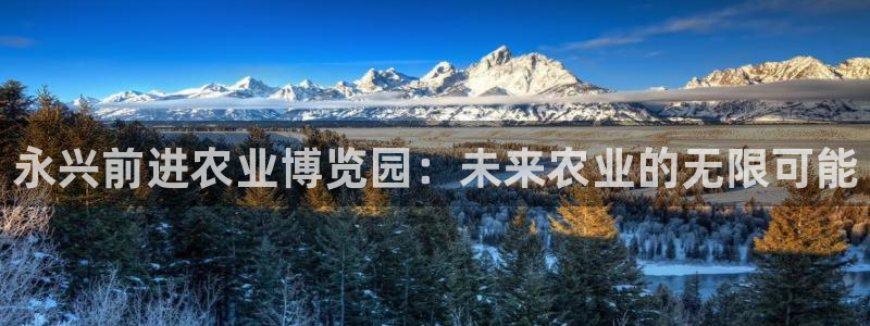 摩根娱乐宝使用操作