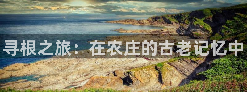 摩根室内娱乐