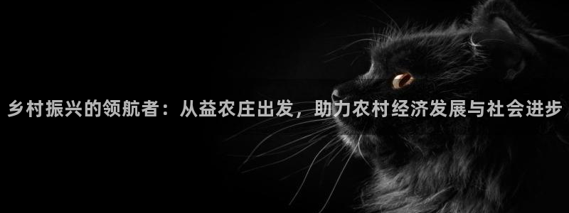 摩根娱乐视频大全