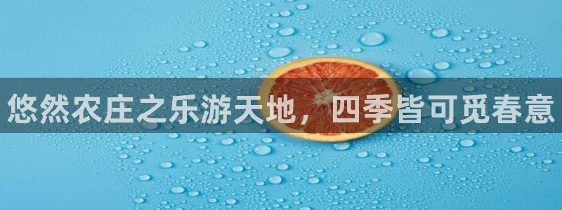 摩根娱乐宝诈骗