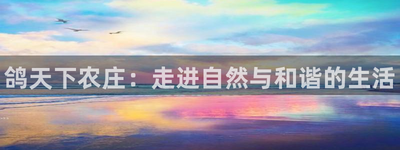 摩根娱乐宝的代理方式