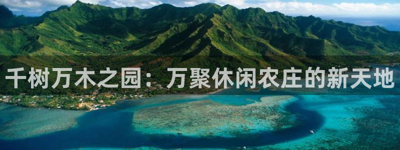 摩根娱乐和摩根国际