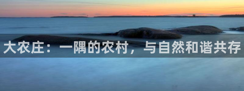 摩根大通会员买金沙娱乐