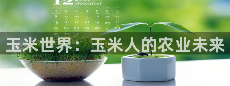 摩根娱乐宝app