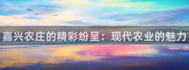摩根说娱乐