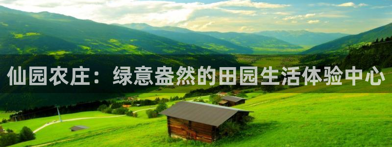摩根娱乐外汇