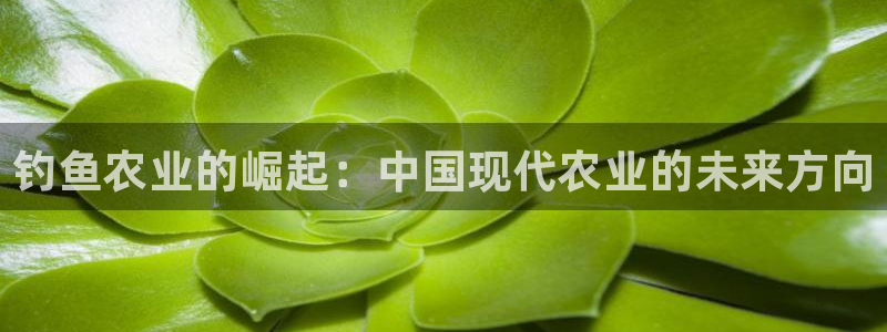 义乌摩根娱乐会所地址