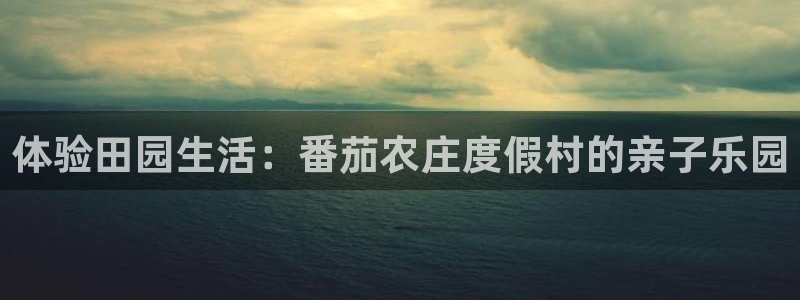 摩根说娱乐