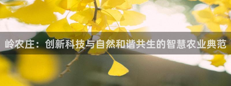 泉州白宫摩根娱乐会所
